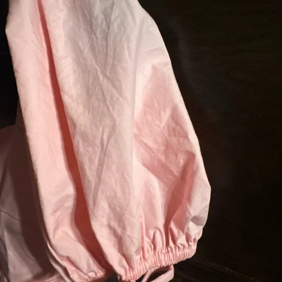 Pants Store,Elegant Pink Mini Dress, NWT, Size Large - Picture 4 of 12